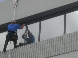 Window Cleaning