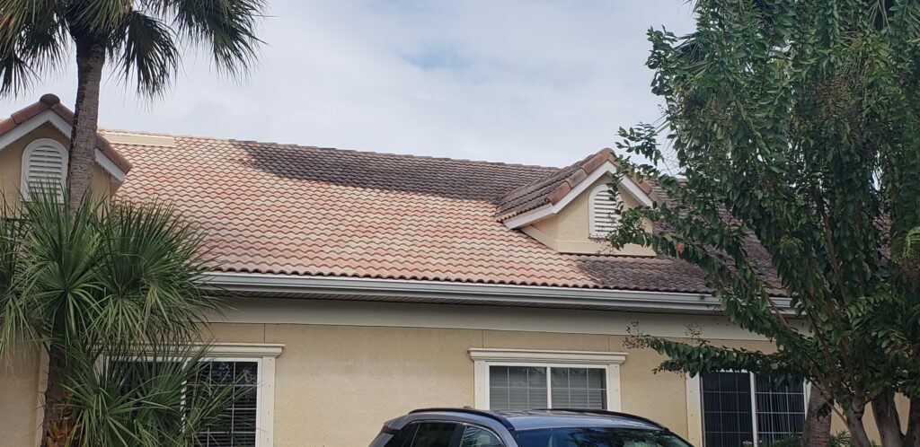 Tile Roof Cleaning