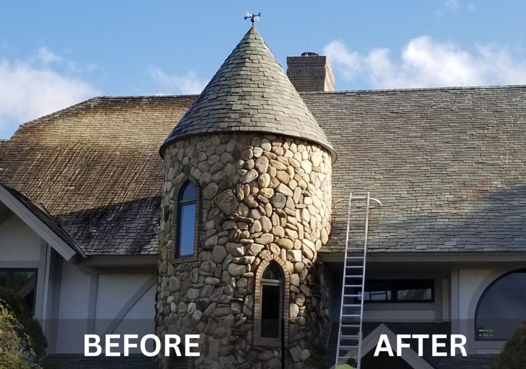 Shingle Roof Cleaning