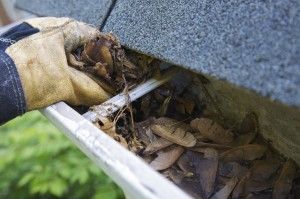 Gutter and Downspout Cleaning